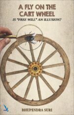 A Fly On The Cart Wheel