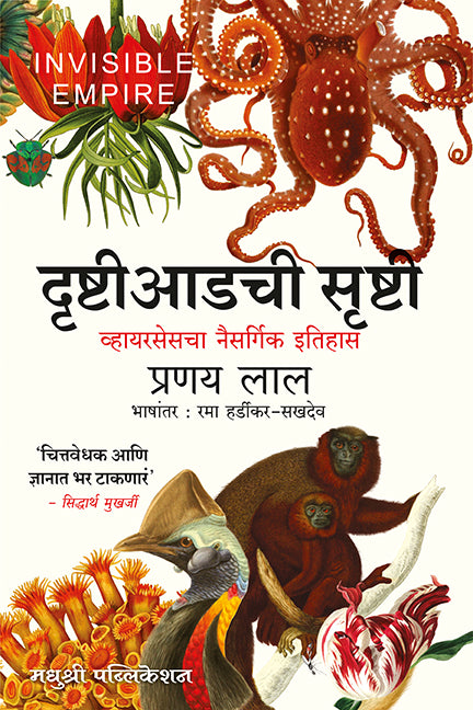 दृष्टी आडची सृष्टी