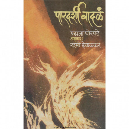 पारदर्शी वादळं