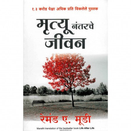 मृत्यू नंतरचे जीवन
