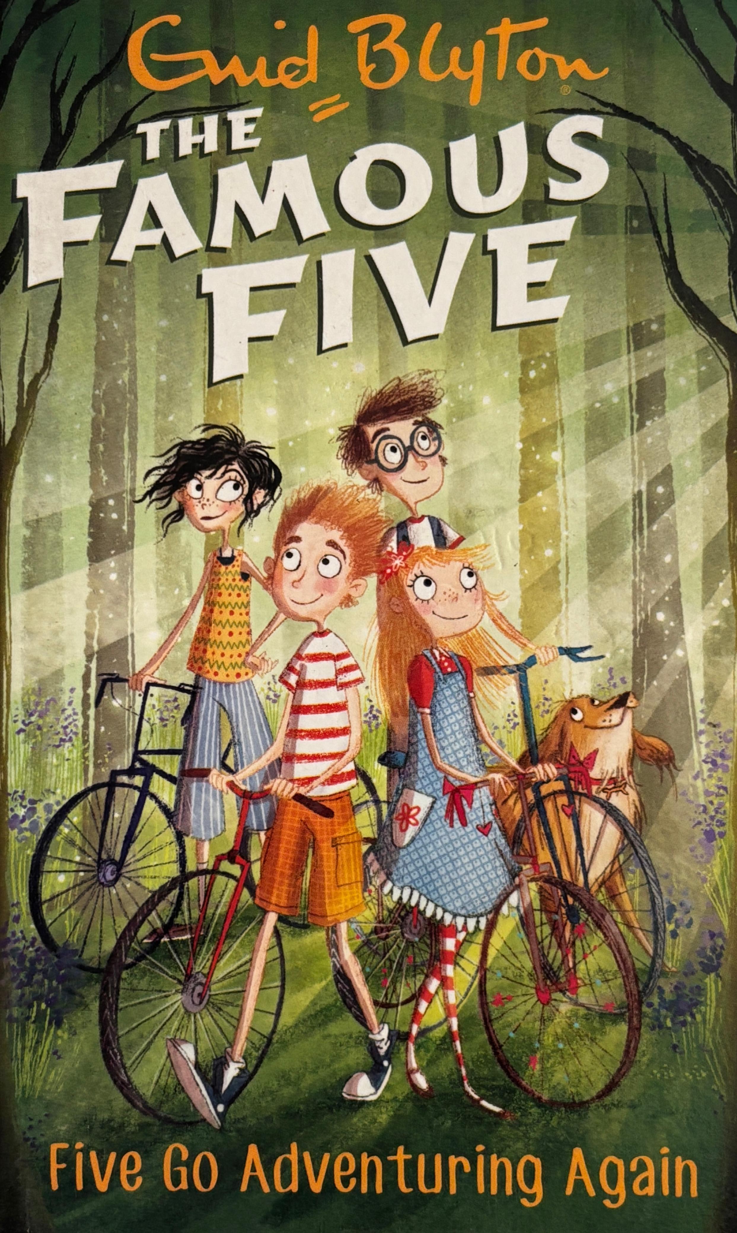 Famous Five: Five Go Adventuring Again